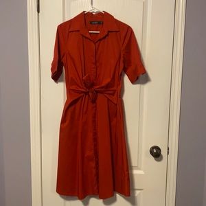 A line shirt dress